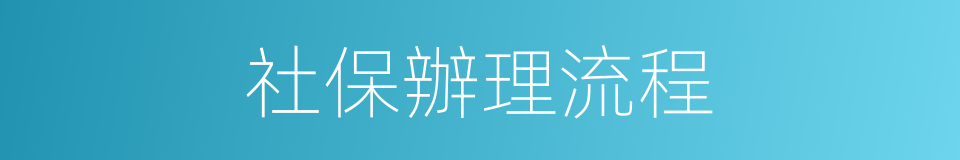 社保辦理流程的同義詞