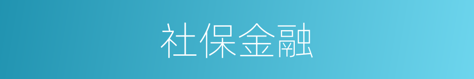 社保金融的同义词