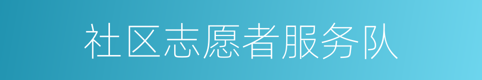社区志愿者服务队的同义词