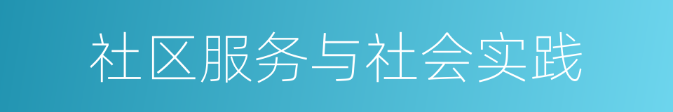 社区服务与社会实践的同义词