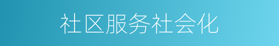 社区服务社会化的同义词