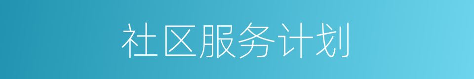 社区服务计划的同义词