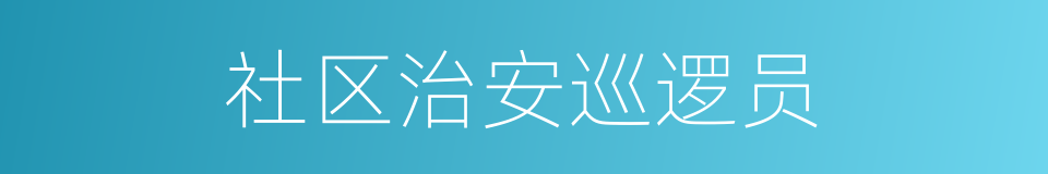 社区治安巡逻员的同义词