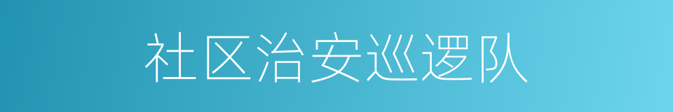 社区治安巡逻队的同义词