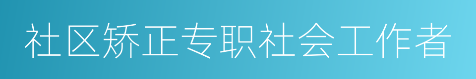 社区矫正专职社会工作者的同义词