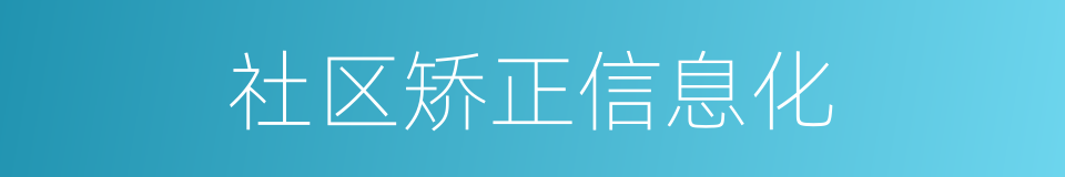 社区矫正信息化的同义词