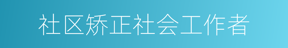 社区矫正社会工作者的同义词