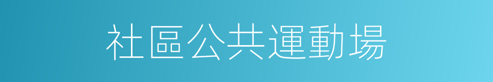 社區公共運動場的同義詞