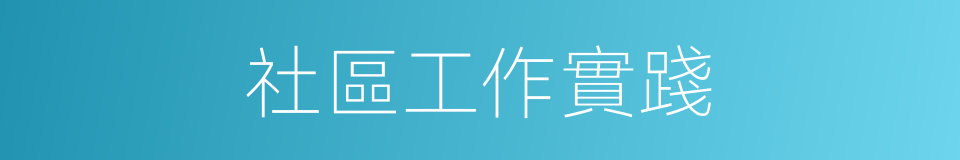 社區工作實踐的同義詞