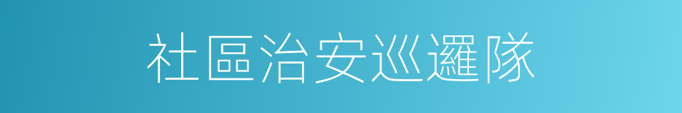 社區治安巡邏隊的同義詞