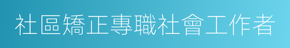 社區矯正專職社會工作者的同義詞