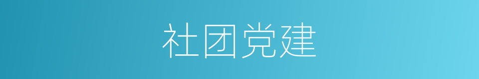 社团党建的同义词