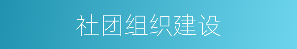 社团组织建设的同义词