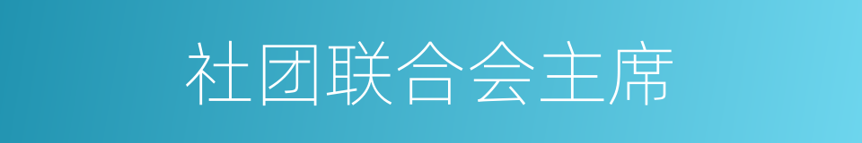 社团联合会主席的同义词