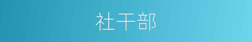 社干部的同义词