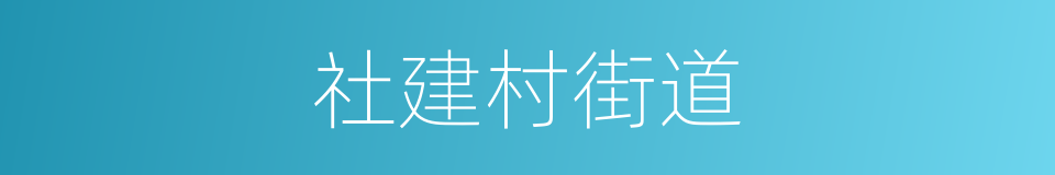 社建村街道的意思