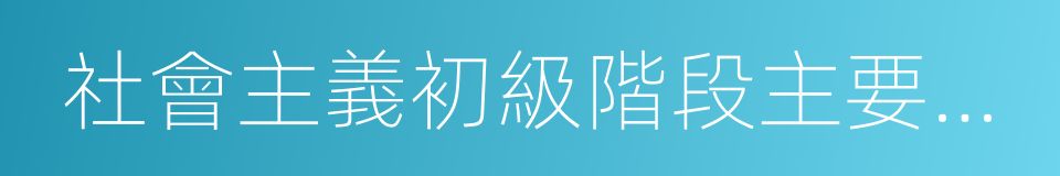 社會主義初級階段主要矛盾的同義詞