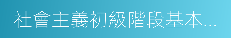 社會主義初級階段基本經濟制度的同義詞