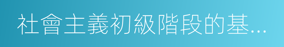 社會主義初級階段的基本國情的同義詞