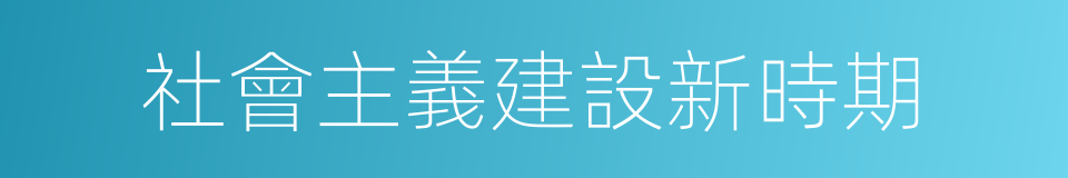 社會主義建設新時期的同義詞