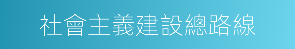 社會主義建設總路線的同義詞