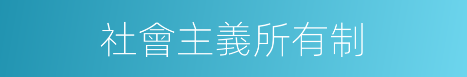 社會主義所有制的意思