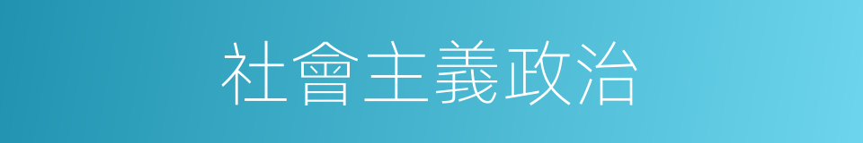 社會主義政治的同義詞