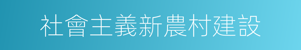 社會主義新農村建設的同義詞