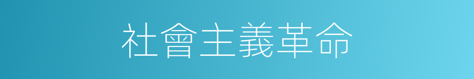 社會主義革命的意思