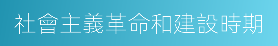 社會主義革命和建設時期的同義詞