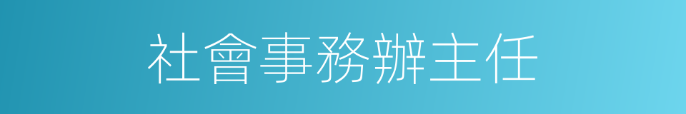 社會事務辦主任的同義詞