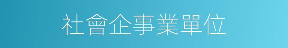 社會企事業單位的同義詞