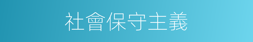 社會保守主義的同義詞