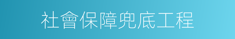 社會保障兜底工程的同義詞