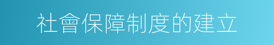 社會保障制度的建立的同義詞
