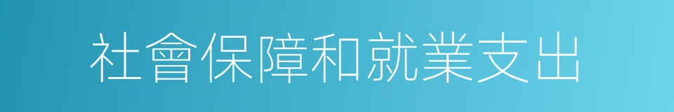 社會保障和就業支出的同義詞