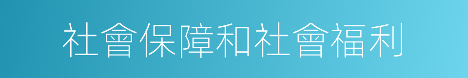 社會保障和社會福利的同義詞