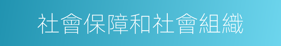 社會保障和社會組織的同義詞
