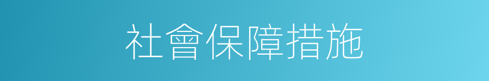 社會保障措施的同義詞