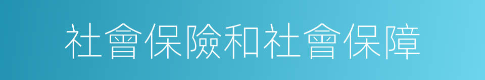 社會保險和社會保障的同義詞