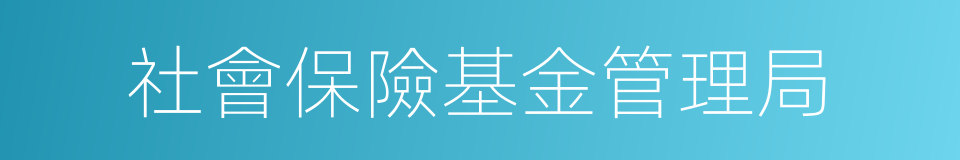 社會保險基金管理局的同義詞