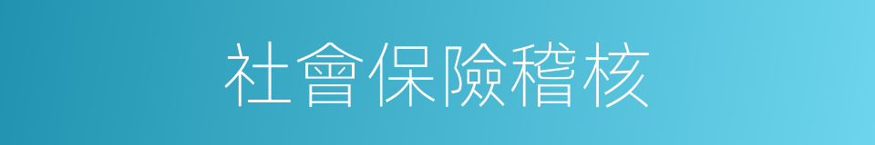 社會保險稽核的同義詞