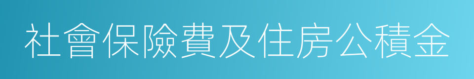 社會保險費及住房公積金的同義詞