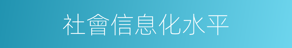 社會信息化水平的同義詞