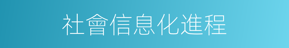 社會信息化進程的同義詞