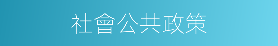 社會公共政策的同義詞