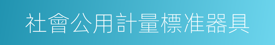 社會公用計量標准器具的同義詞