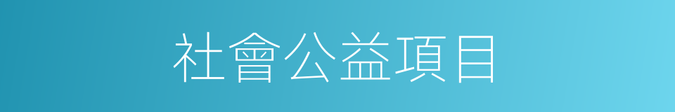 社會公益項目的同義詞