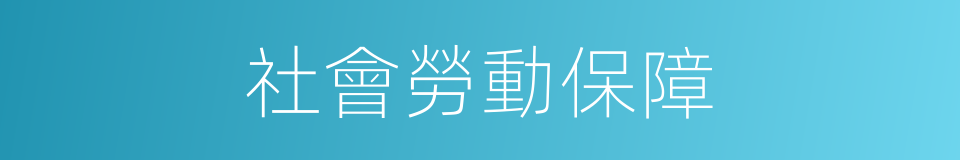 社會勞動保障的同義詞