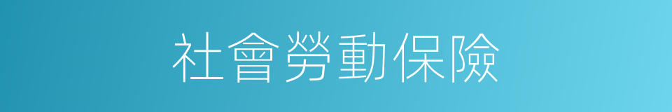 社會勞動保險的同義詞
